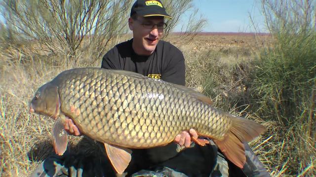 Adunate! - 272667635640.jpg